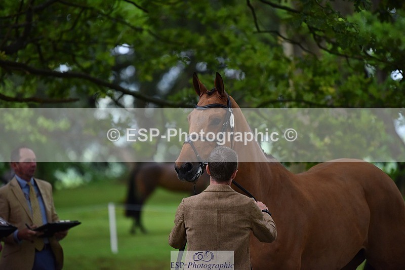 240522-165616-01263 - 282-COOLEY_CORNASUS-Tom_Jackson