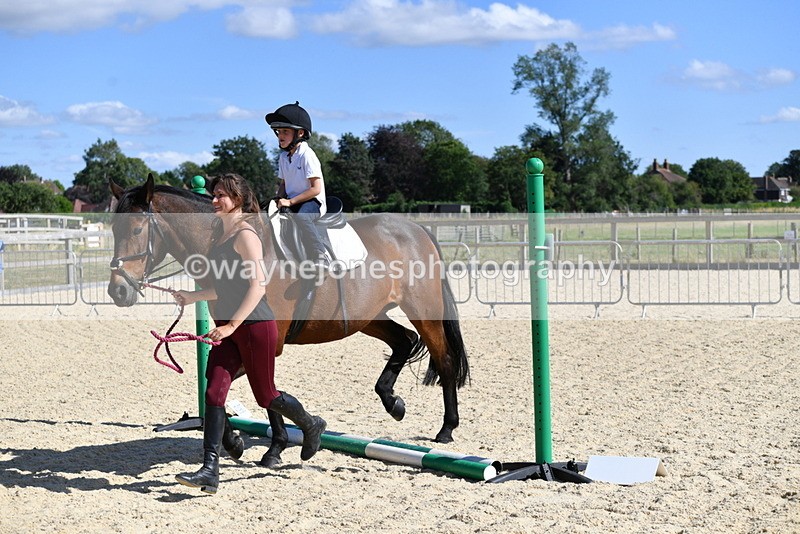 WJ5_5371 - Poles on the Floor