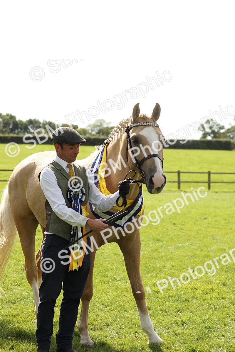 SBM_66341 - In Hand Pony & Youngstock Supreme Championship
