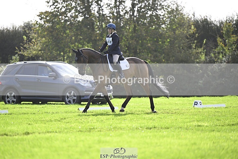 241025-114033-06896 - 369-Carolyn.Price-I.WISH.ANDY