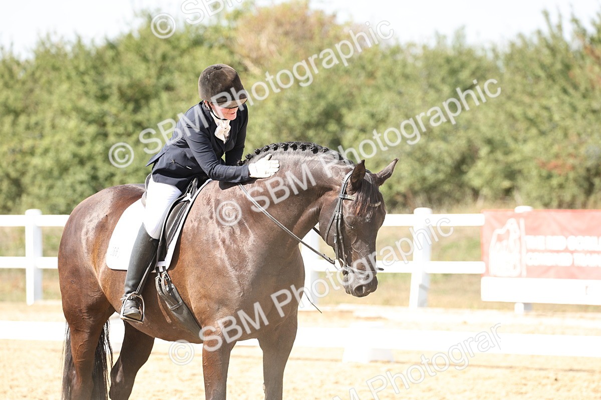 SBM_014884 - Class 7 - Medium 3