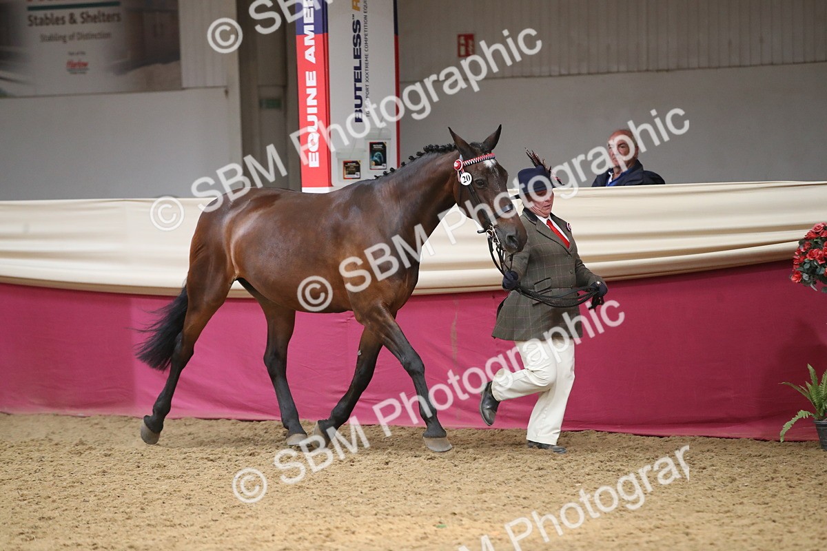 SBM_05252 - Class 8R - Regional IH Veteran