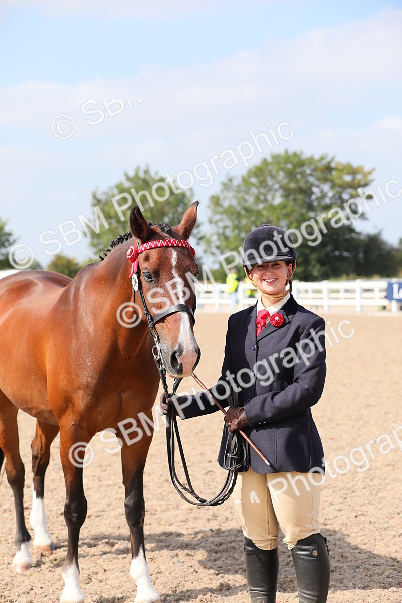 SBM_15734 - Class 312 IH Competition Horse/Pony