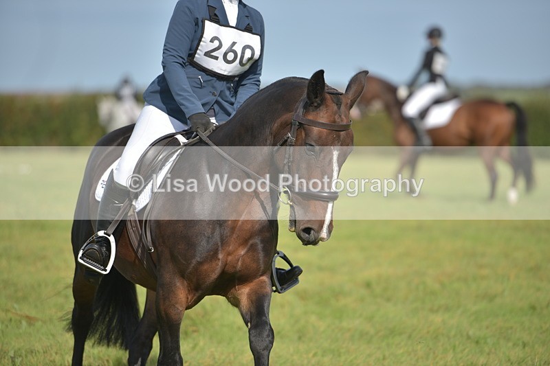 RAY_7813 - Class 2B: Trekenning Open: Dressage