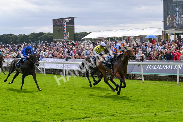 210824-Race 2-The Lion In Winter-4748 - Race 2 2.25pm Tattersalls Acomb Stakes