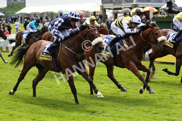 yr11052022r2-33 - Race 2 2.25pm Churchill Tyres Stakes