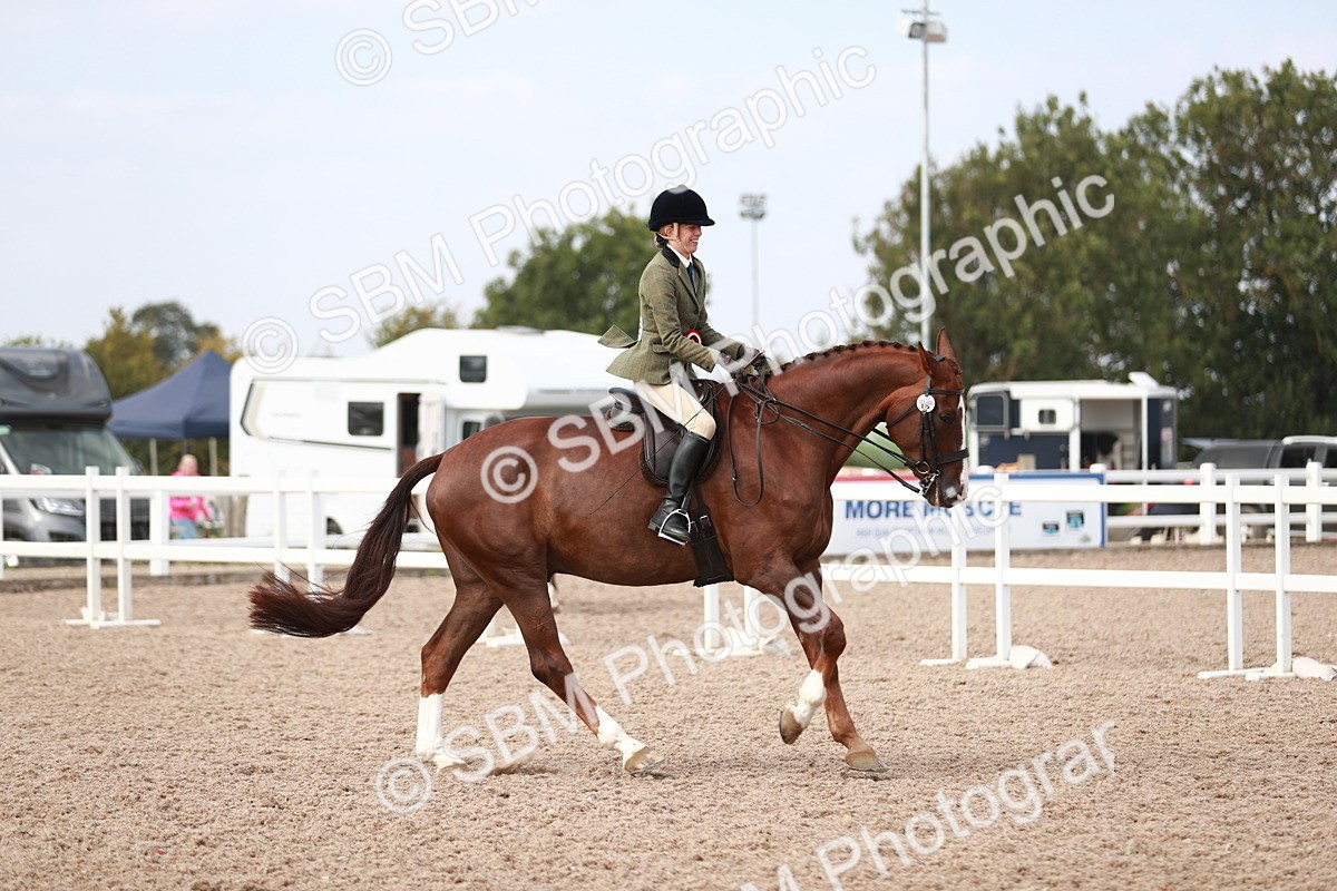 SBM_15555 - Class 213 Ridden Hunter -Large