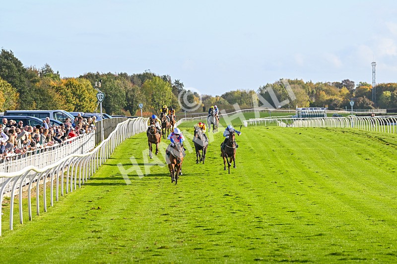 191024-Race 4-Three Dons-4276 - Race 4