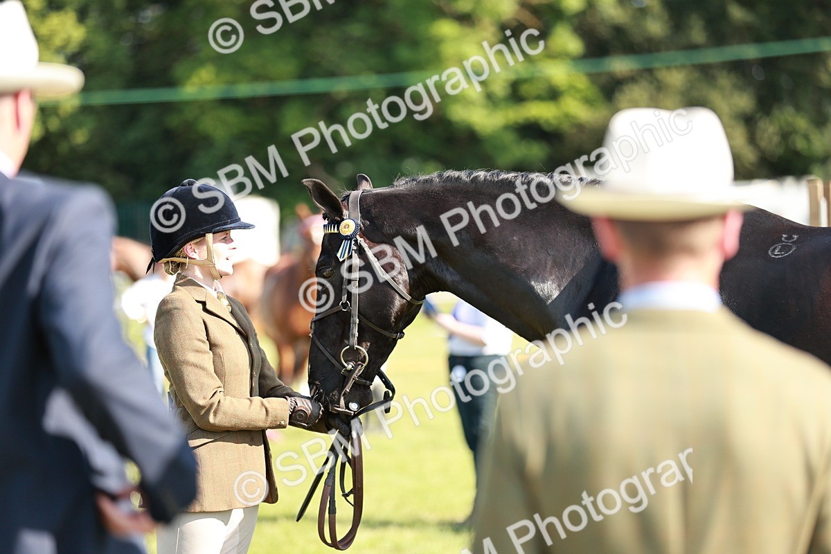 SBM_19292 - Class 115-116 - LIHS BSHA Rising Star Working Hunter & Show Horse