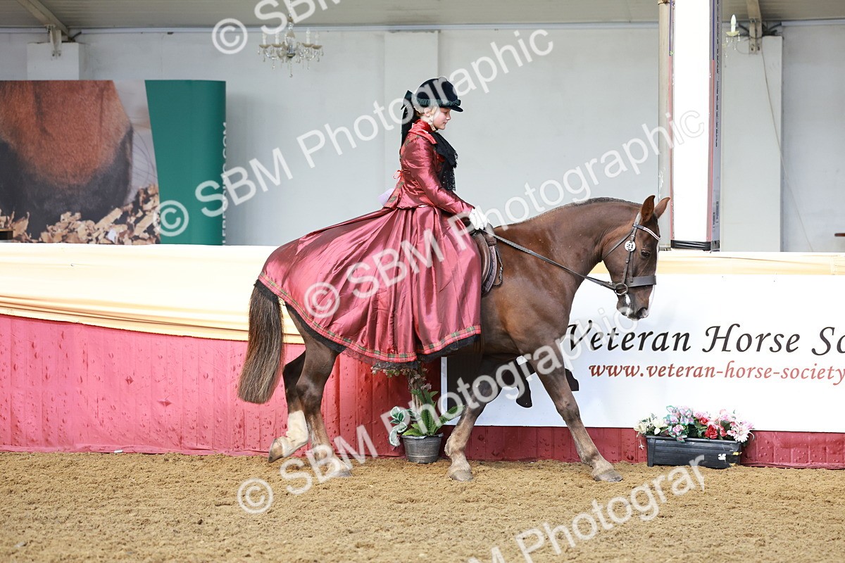 SBM_13393 - Class 104 - Ridden Costume - Astride Junior