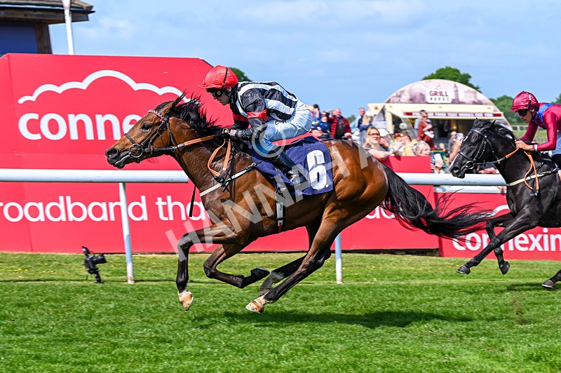 270526-Race 2-Out Of This World-2347 - Race 2 14.45pm Tigers Trust Restricted Novice Stakes