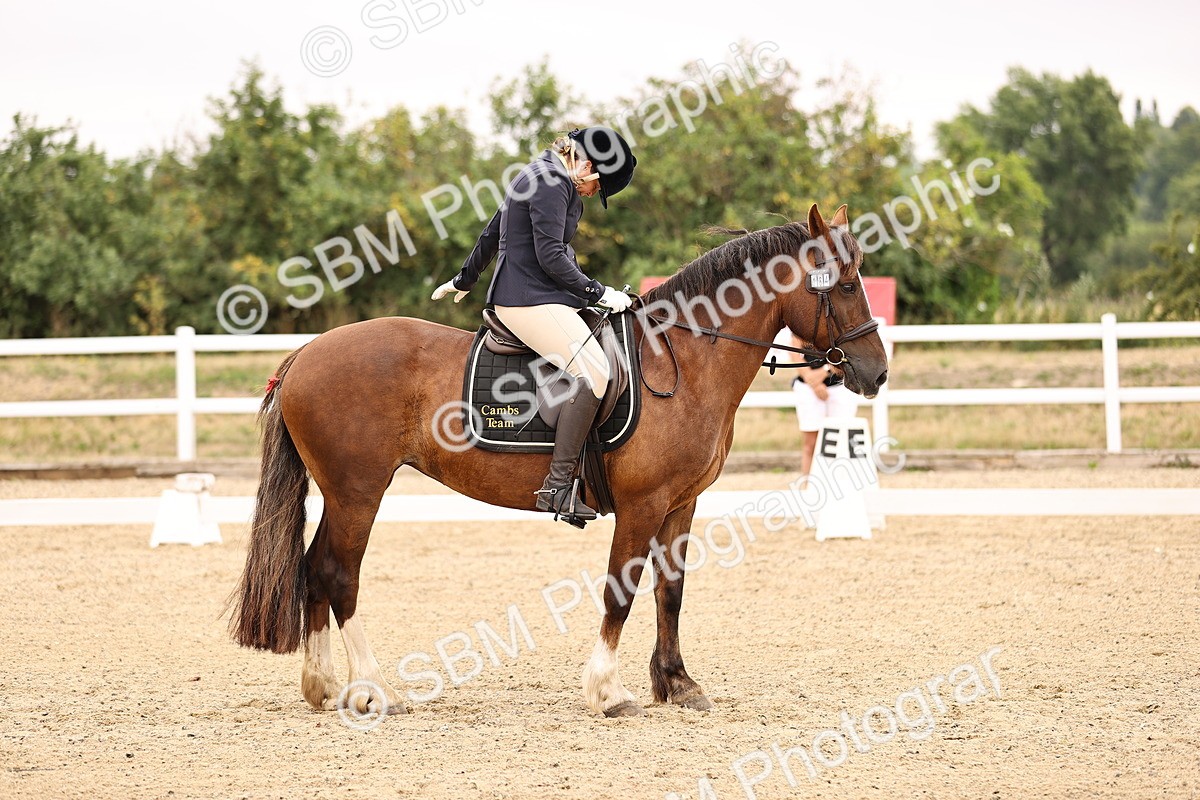 SBM_005326 - Intro 3 - 8.30-9.30