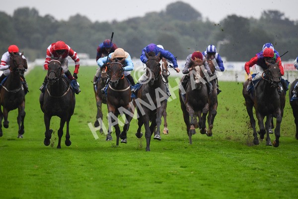 yr21082021r6-6 - Race 6 4.45pm Sky Bet Stakes