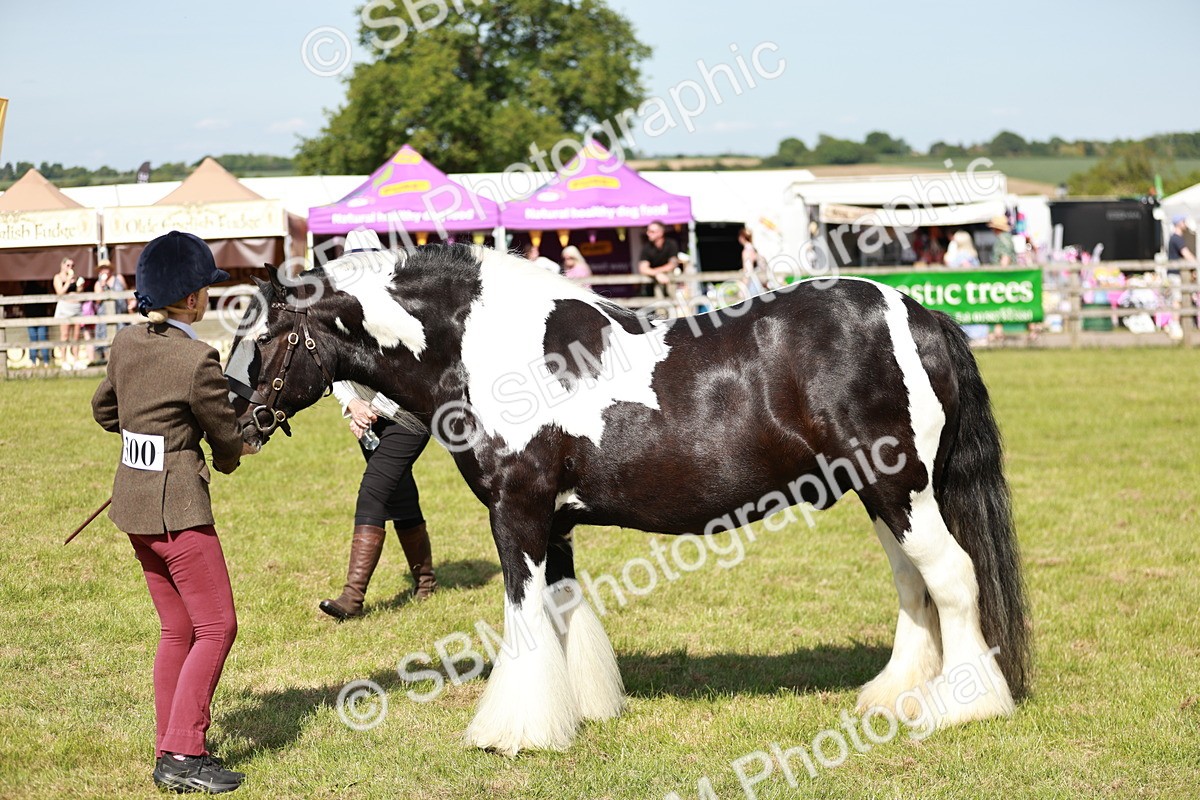 SBM_08825 - Class 63-65 - Traditional Gypsy Cobs In Hand & Ridden