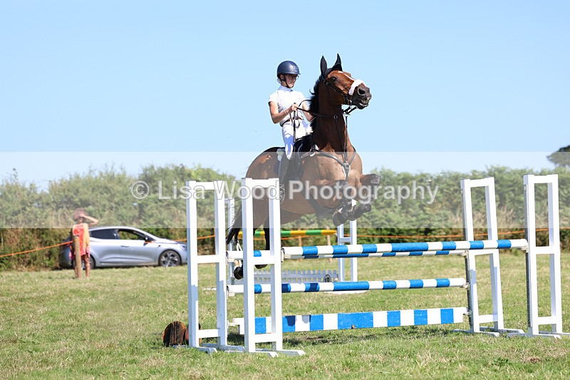 3E7A6469 - Class 13: Senior Newcomers/1.10m open