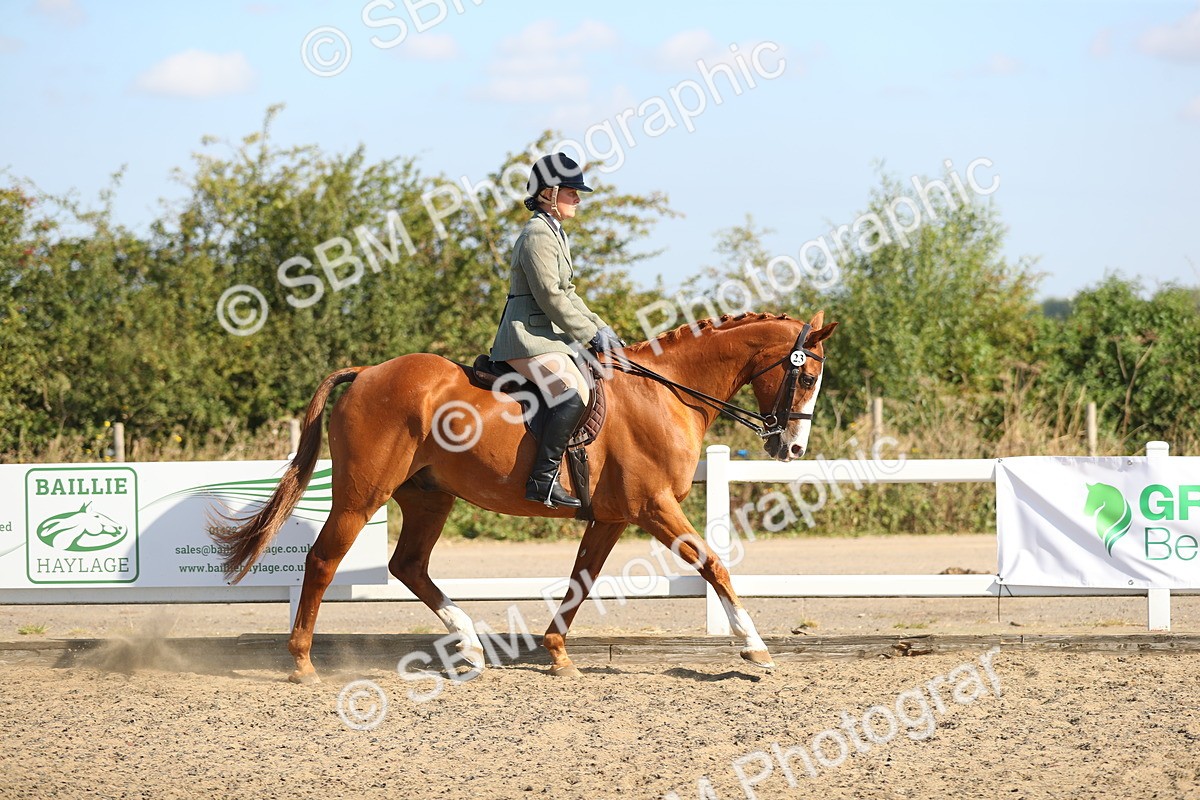 SBM_02193 - Class 43 Ridden Competition Horse/Pony