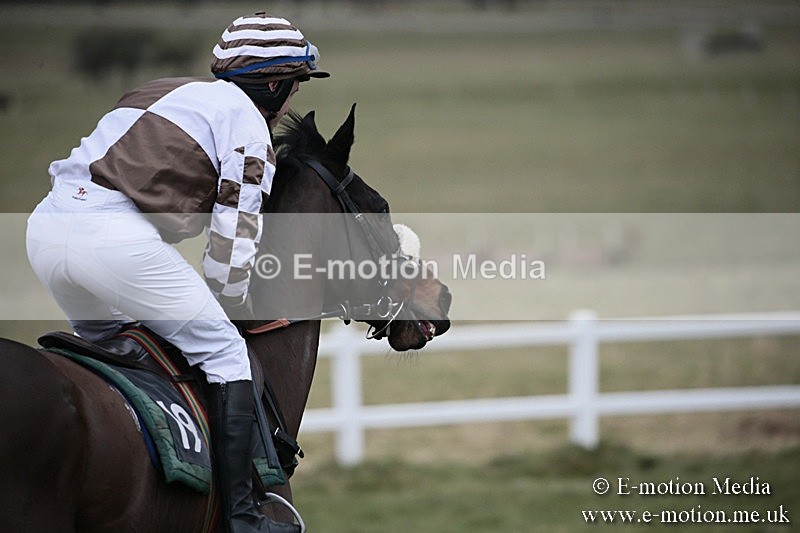 PtP 180218 358 - Combined Services Point-to-Point Larkhill 18/02/18