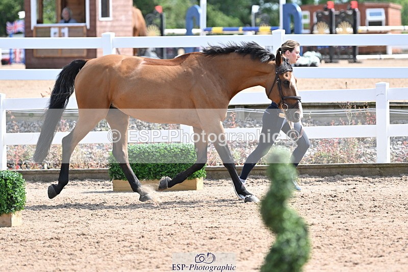 240717A-154236-03003 - Trot Up 3pm to 4pm