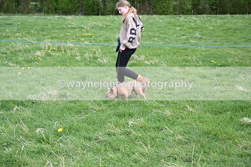 WJ6_8076 - Class 2 Best Pedigree