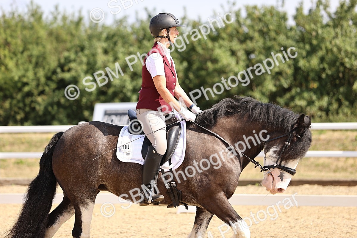 SBM_006485 - Intro 3 - 9.46-10.46