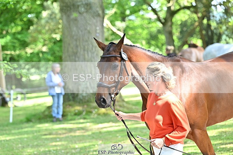 250521A-153539-00620 - B-369-Ali.Wilkes-ROCK.THE.CASPAR