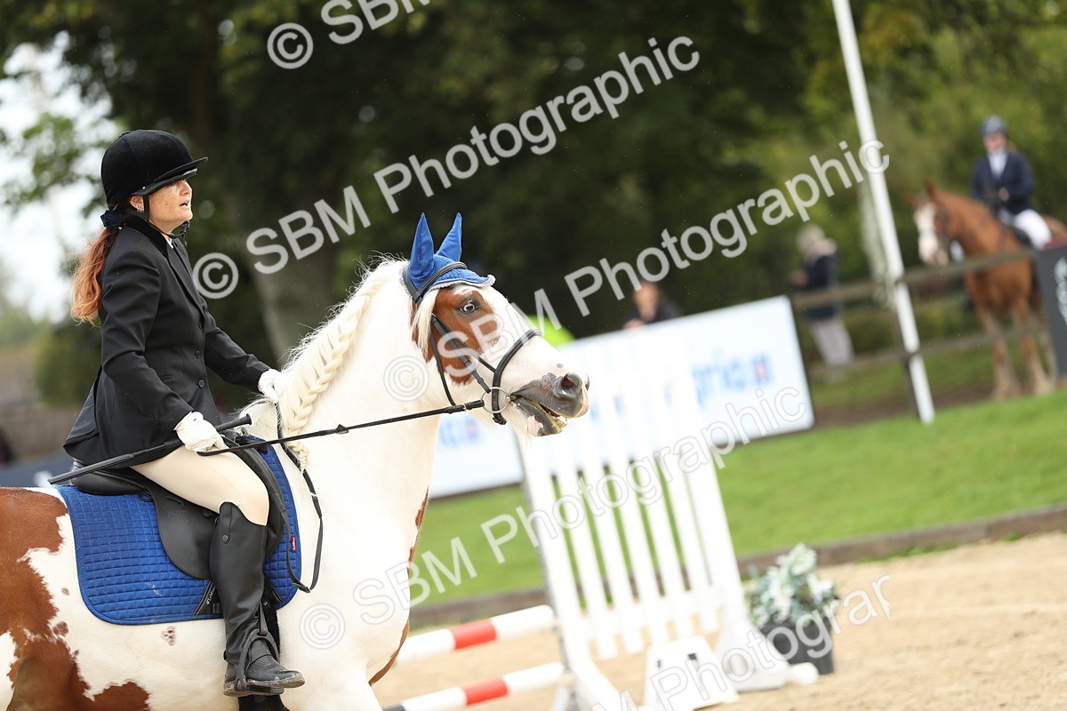 SBM_02025 - J34 - Veteran Rider 50cm