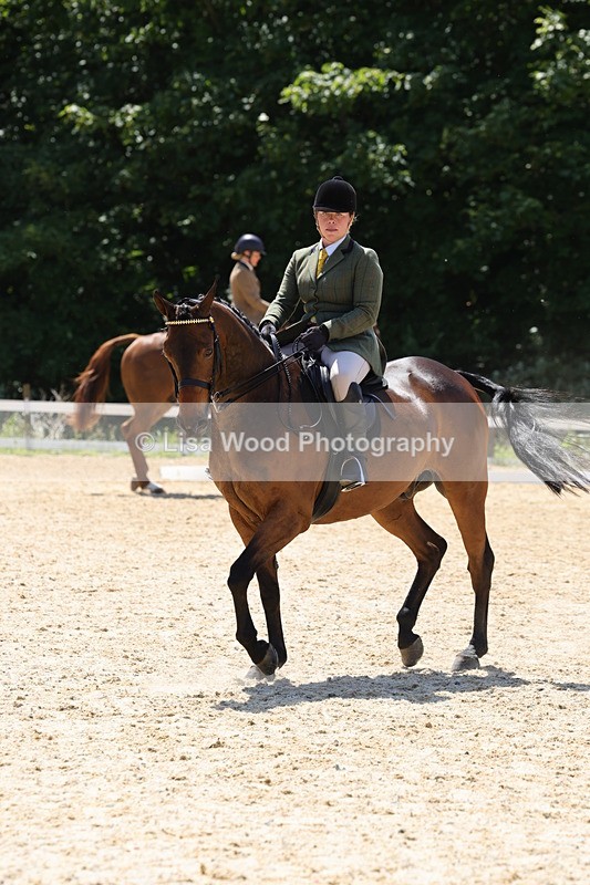 1X9A1871 - Class 12: Ridden Riding Horse/Hack