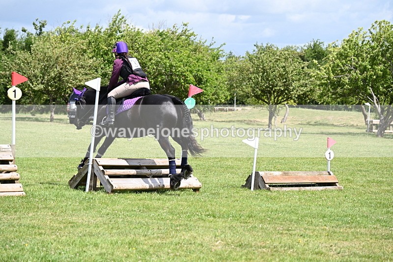 WJ6_3293 - Class 4 60cm