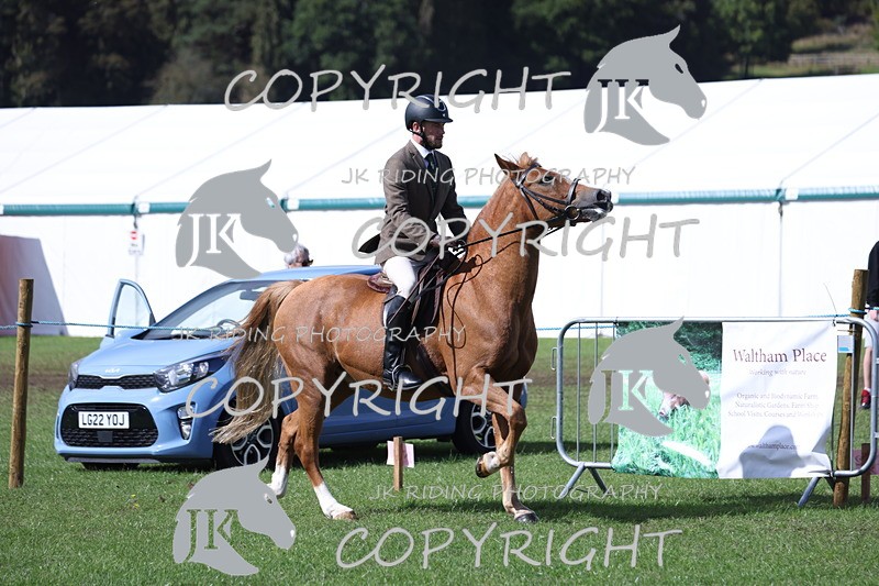 APP_3527 - Class 12 M&M ridden