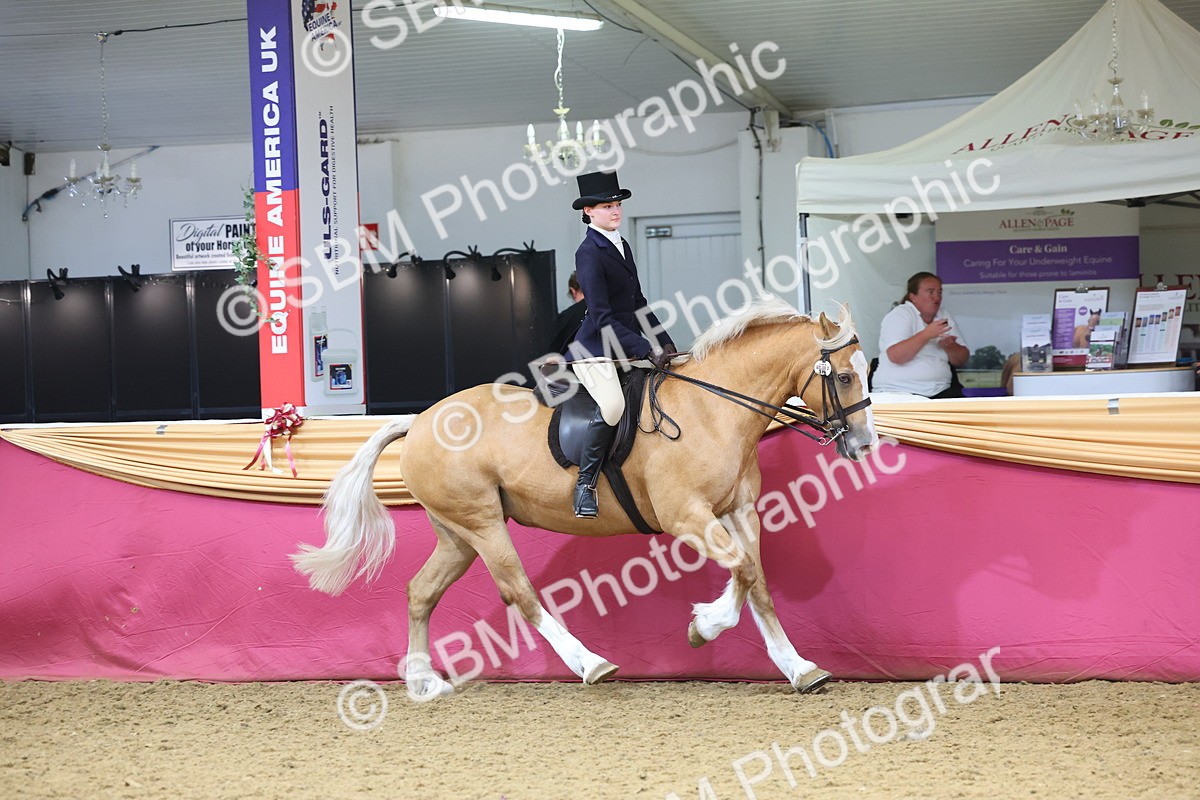 SBM_24347 - Class 906 - Supreme Final - Ridden Pre Vet