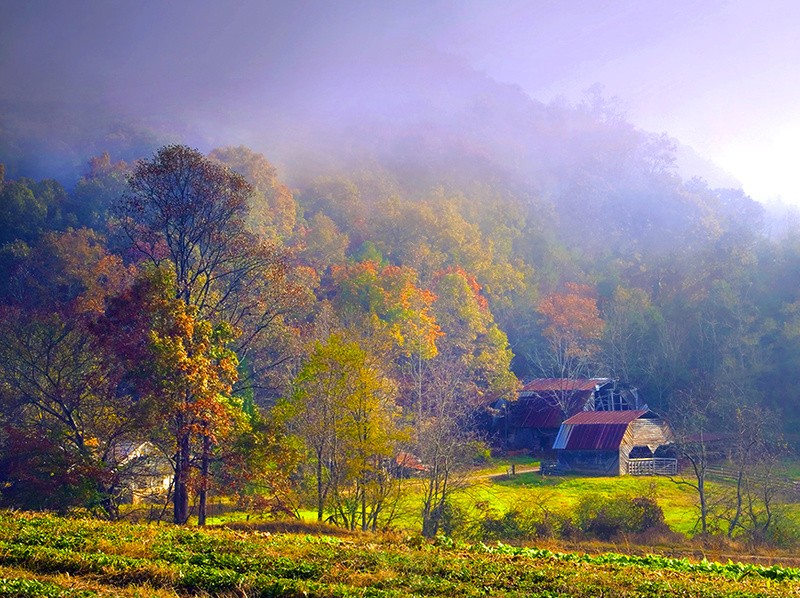 Oak Grove Franklin NC USA - Land