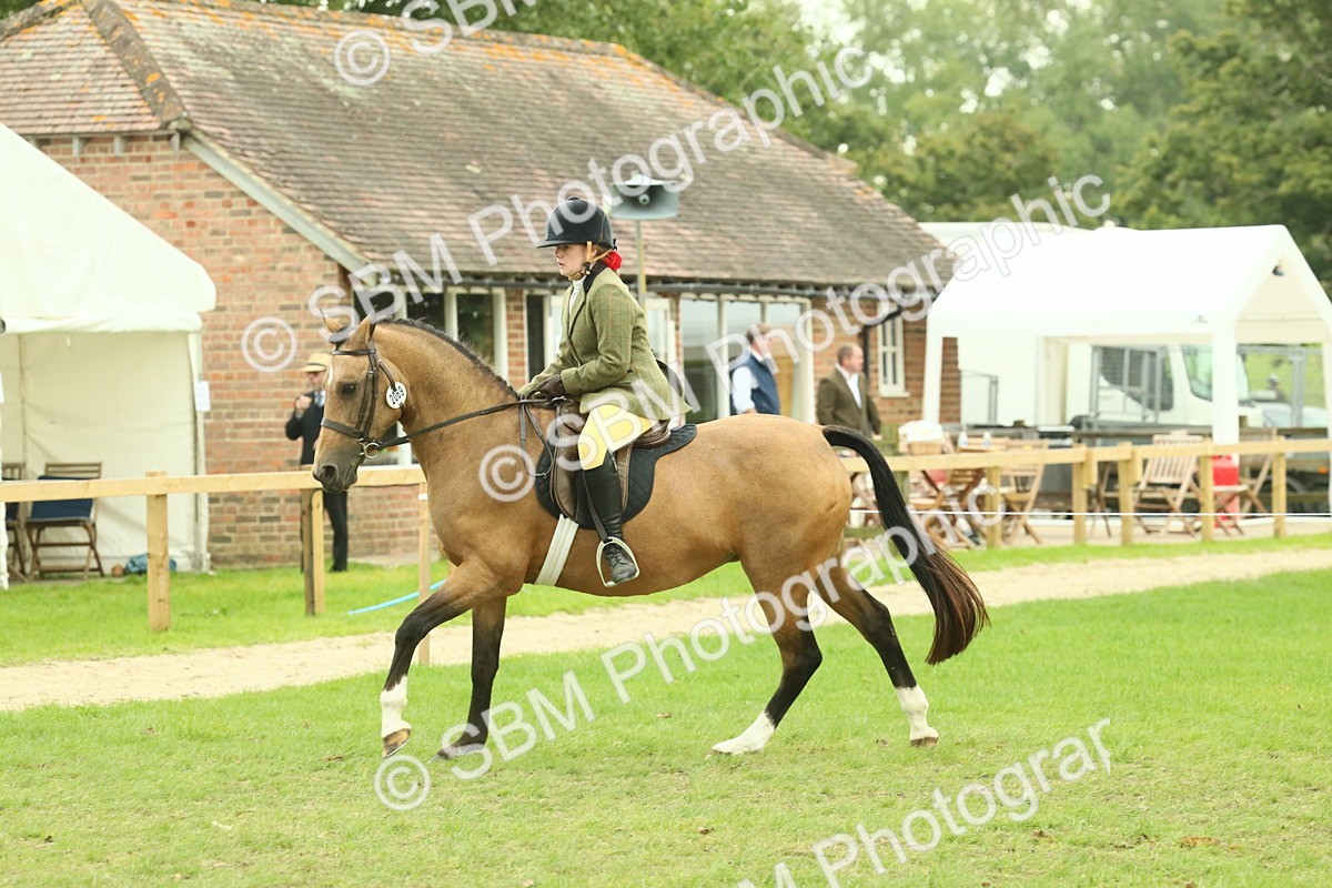 SBM_73969 - S 61 - Show Pony & Show Hunter Pony Ridden