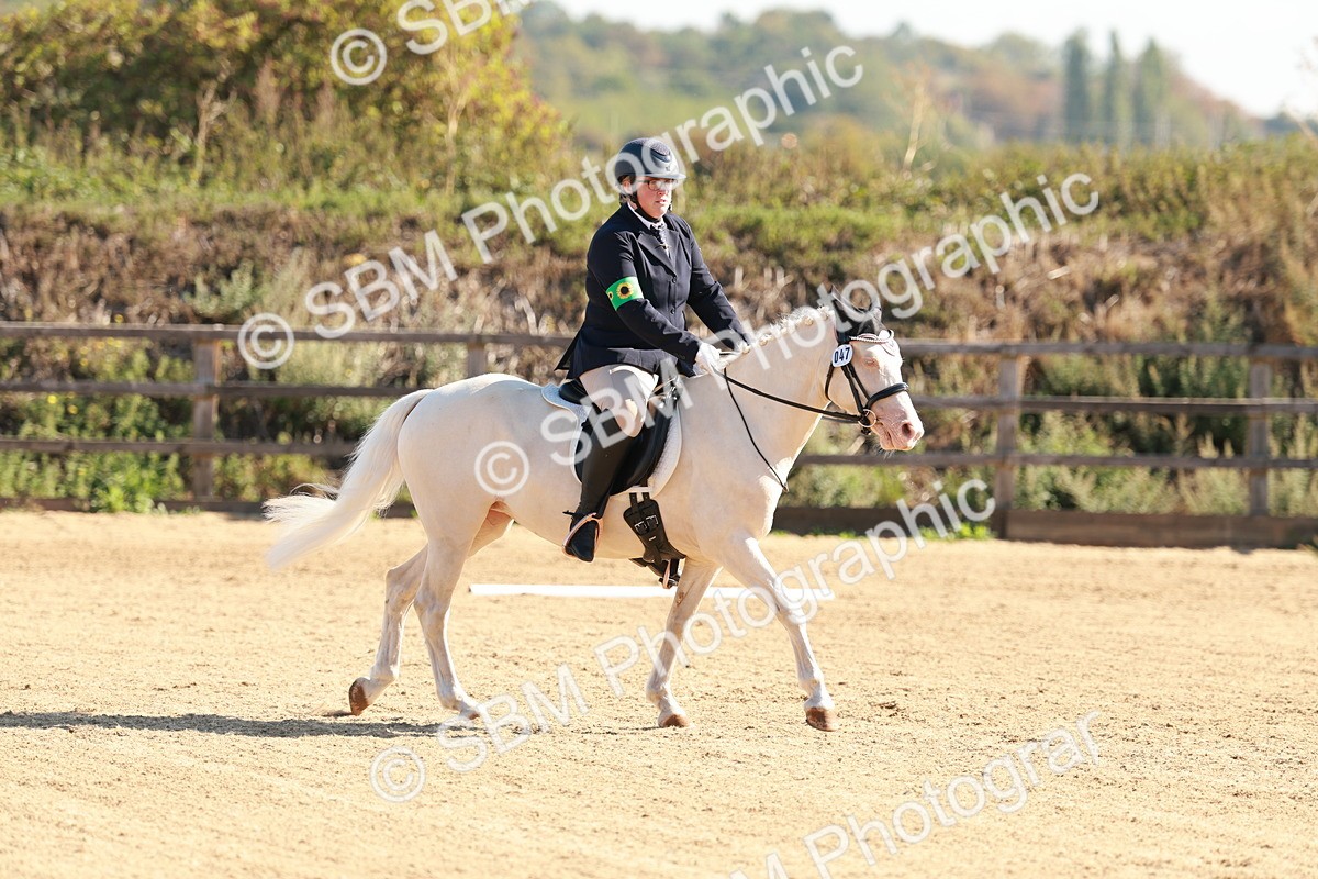 SBM_009301 - Class 2 - Intro 3