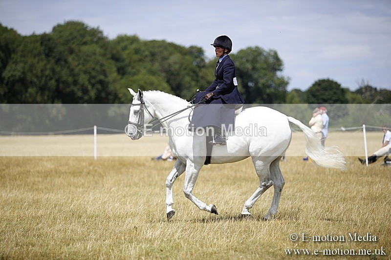 _C7A0241 - Side Saddle Classes BVRC Show 2018