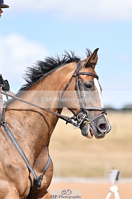 260819-143110-01120 - Cls 6 Foxhunter and 1.20m