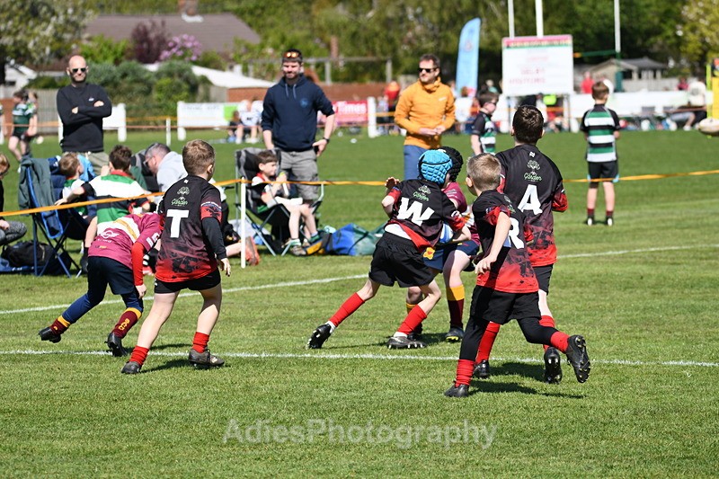  - Selby Rugby Festival 2025