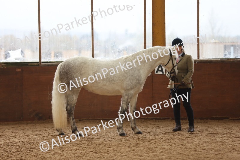 20251109-0877 - Class 26 - 2 and 4 Year Olds