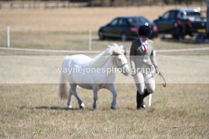 WJ6_4521 - Class 17 Mountain & Moorland