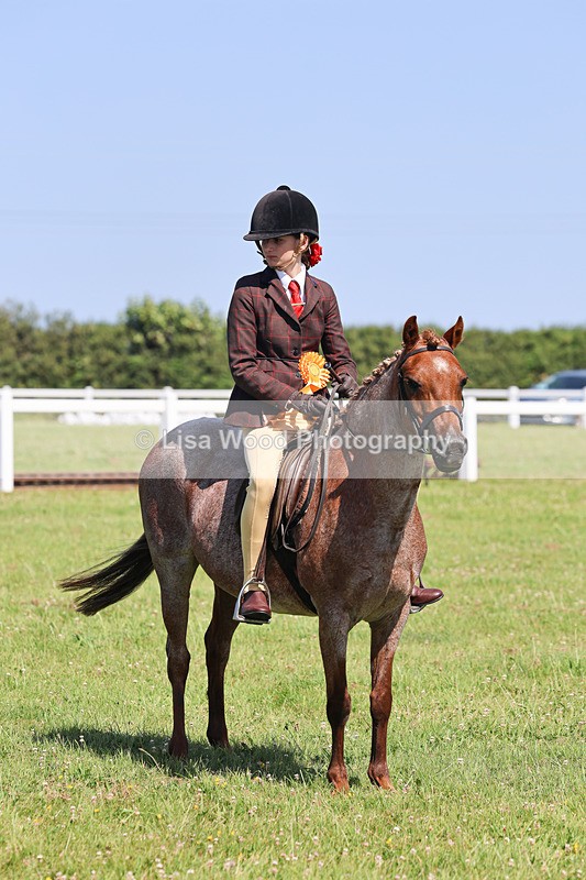 IMG_2061 - Class 34: Show Hunter Pony 153cm and under