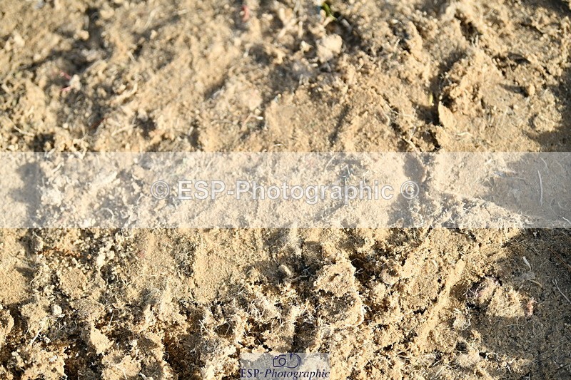 251004A-163429-02125 - Classes 10 & 11 80cm