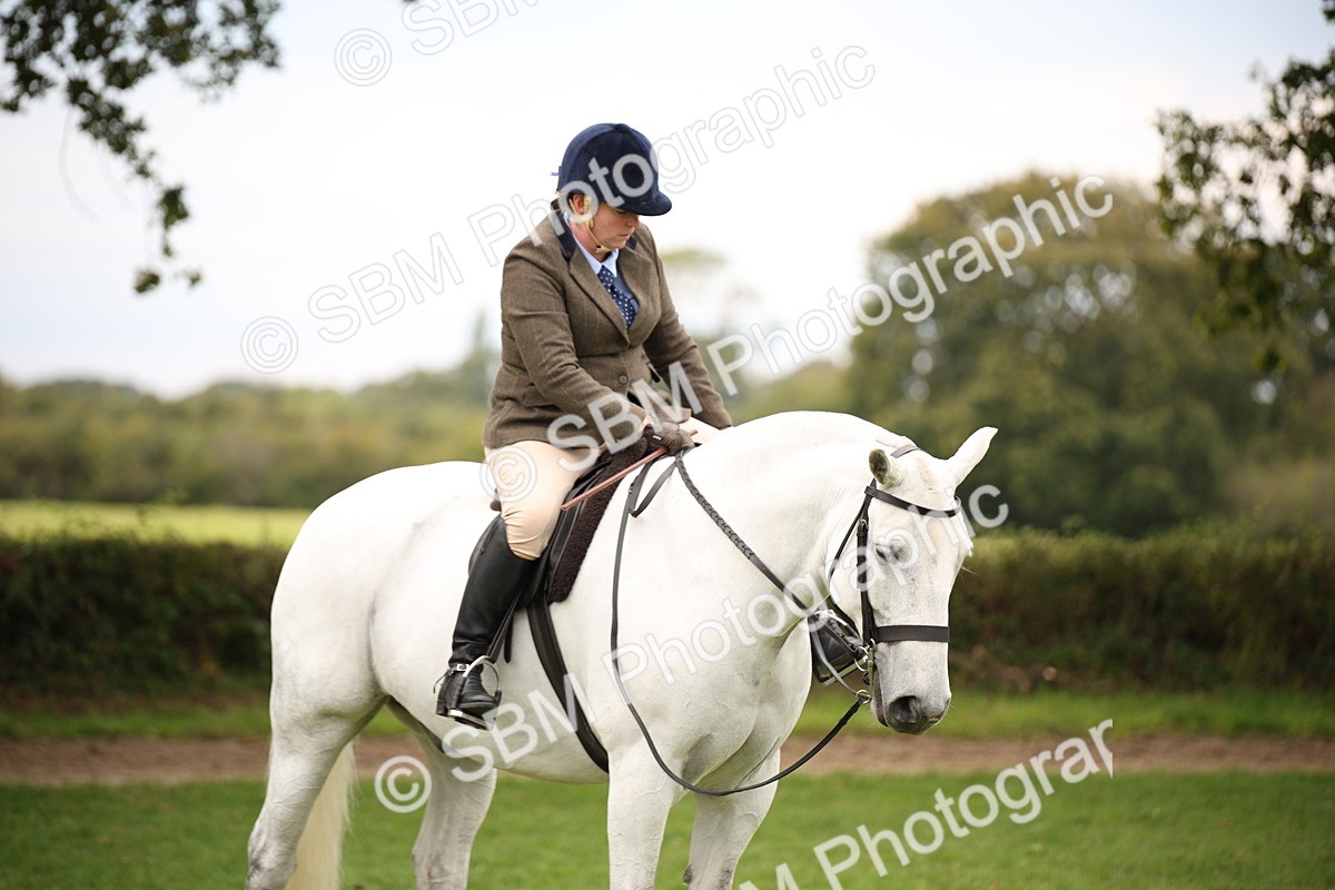 SBM_72395 - S67 - Show Cob Ridden