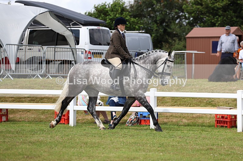 3E7A0480 - Rising Star Ridden Championship