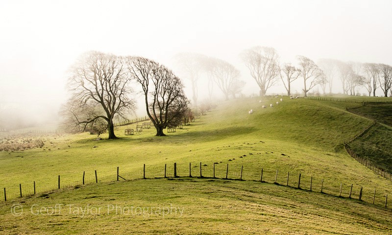 0700 Linley Hill - Stiperstones