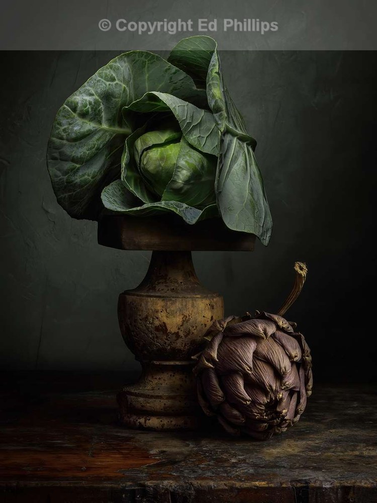 Still-life with Cabbage