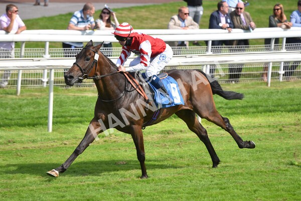 yr09072021r4-19 - Race 4 3.50pm William Hill Plus Bet Club Stakes
