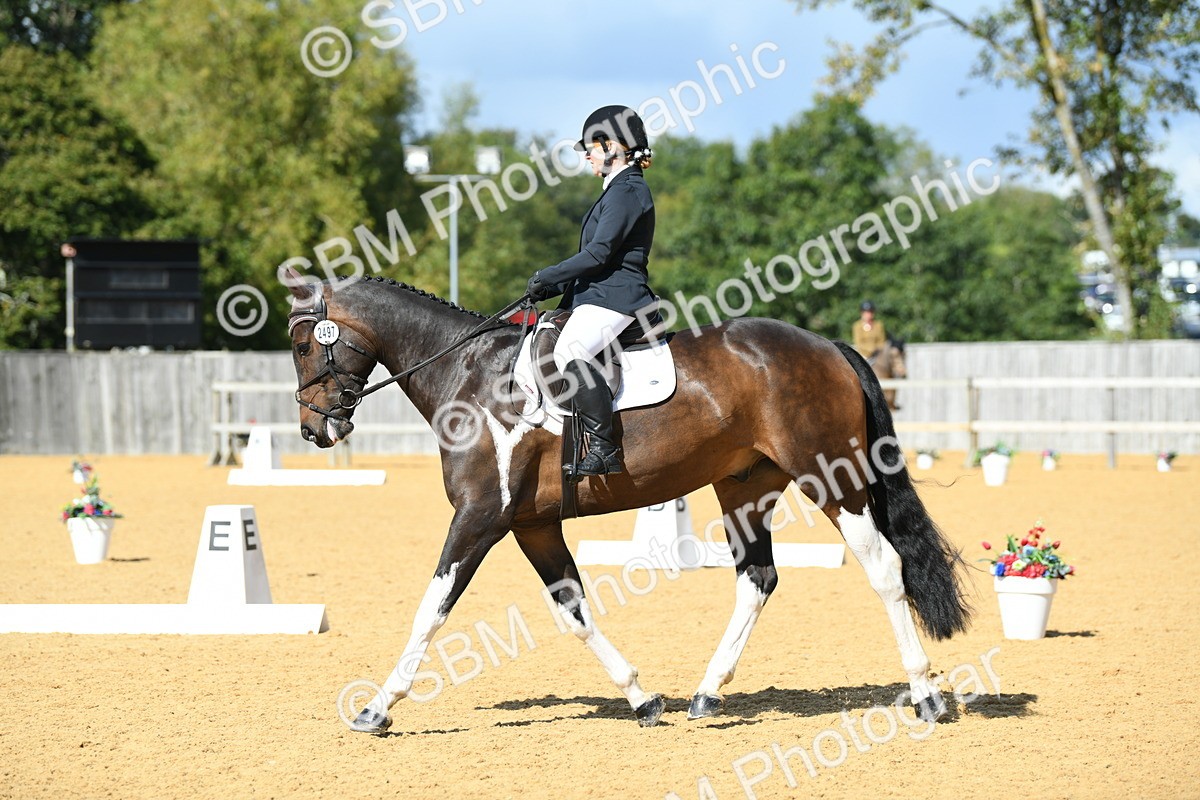 SBM_07180 - D15 Small Tour Championship Novice 24