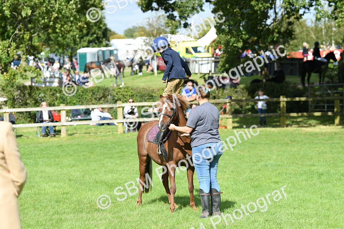 SBM_47163 - S12 - Family Horse & Pony