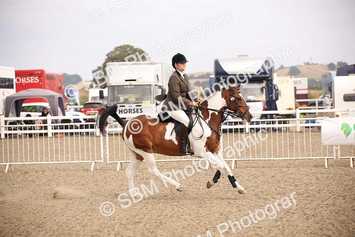 SBM_17135 - Class 409b - Working Veteran 80cm (20+)