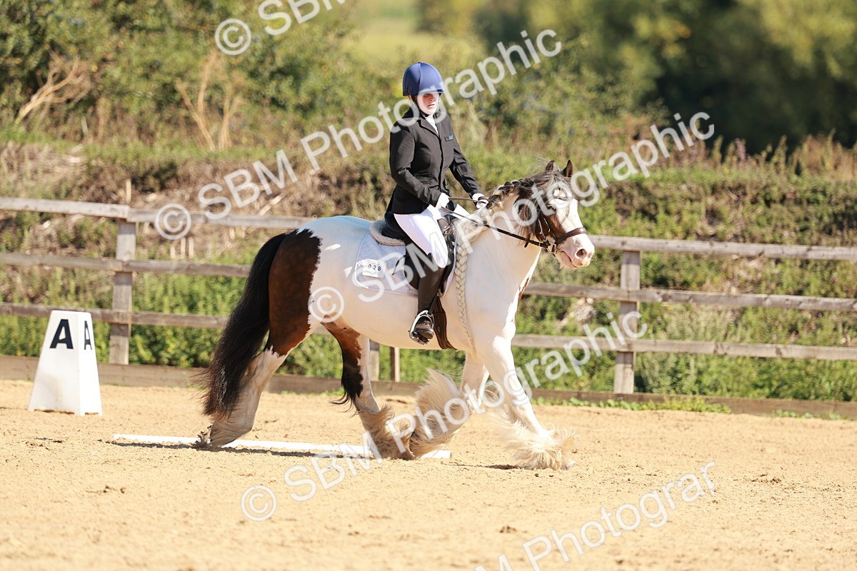 SBM_010433 - Class 3 - Prelim 2