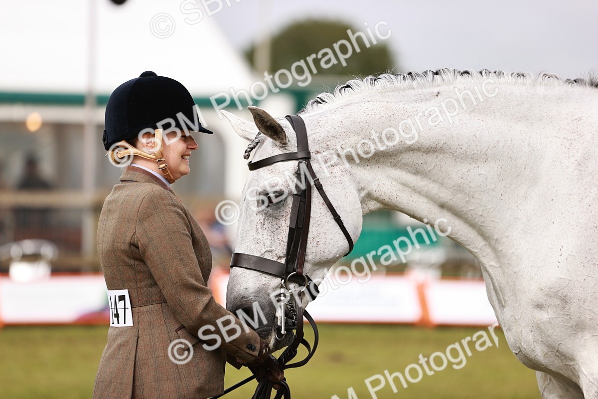 SBM_10875 - Class 81-84 - RIHS Ridden hunters Inc Ladies Hunter